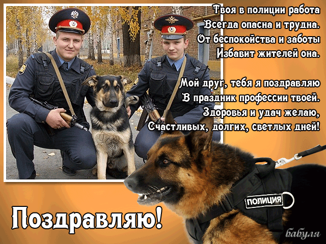 Открытка Открытки на День сотрудника органов внутренних дел Российской Федерации - Полиция и немецкая овчарка: поздравительная открытка | Красивая открытка #62