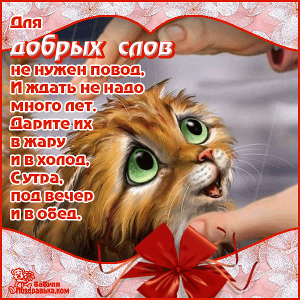 Открытка День доброты - Открытка с золотистым щенком и бантом | Красивая открытка #85