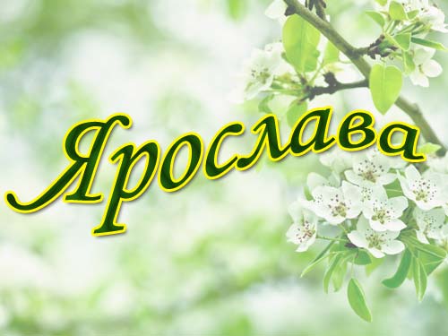 Открытка открытки с именем Ярослава - Цветущая вишня: нежная весенняя открытка | Красивая открытка #1