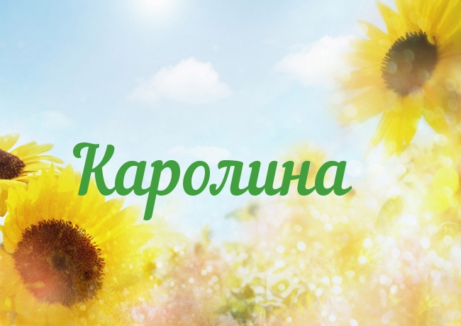 Открытка открытки с именем Каролина  - Открытка с подсолнухами  Солнечный летний фон | Красивая открытка #17