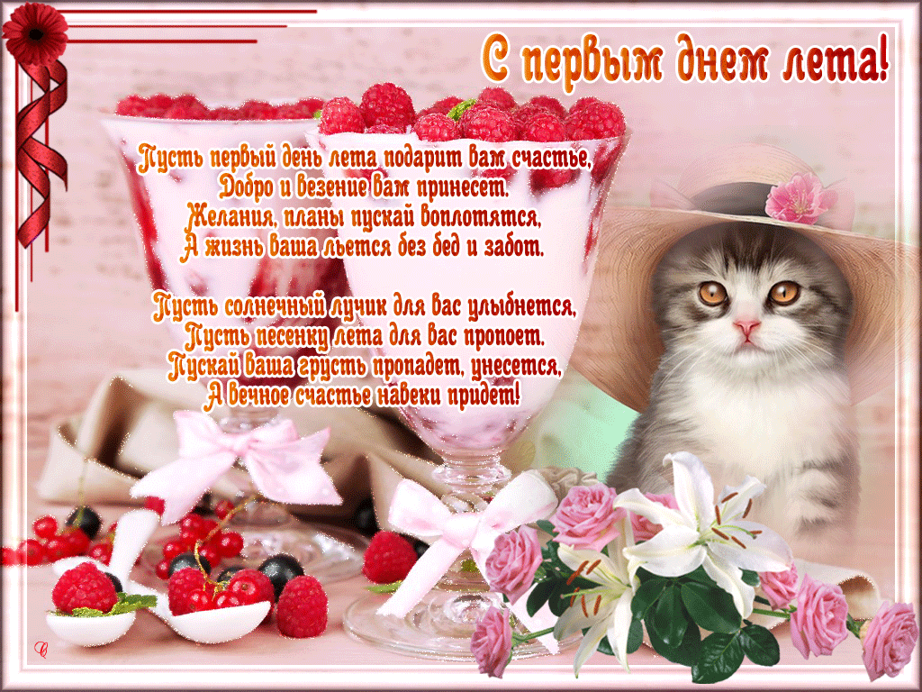 Открытка открытки с первым днем лета  - Открытка с котенком и цветами | Красивая открытка #46