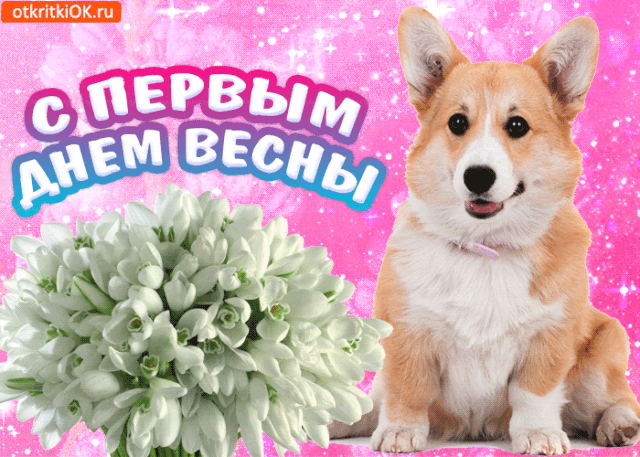 Открытка  С первым днем весны - Открытка: Весна, щенки и подснежники | Красивая открытка #27