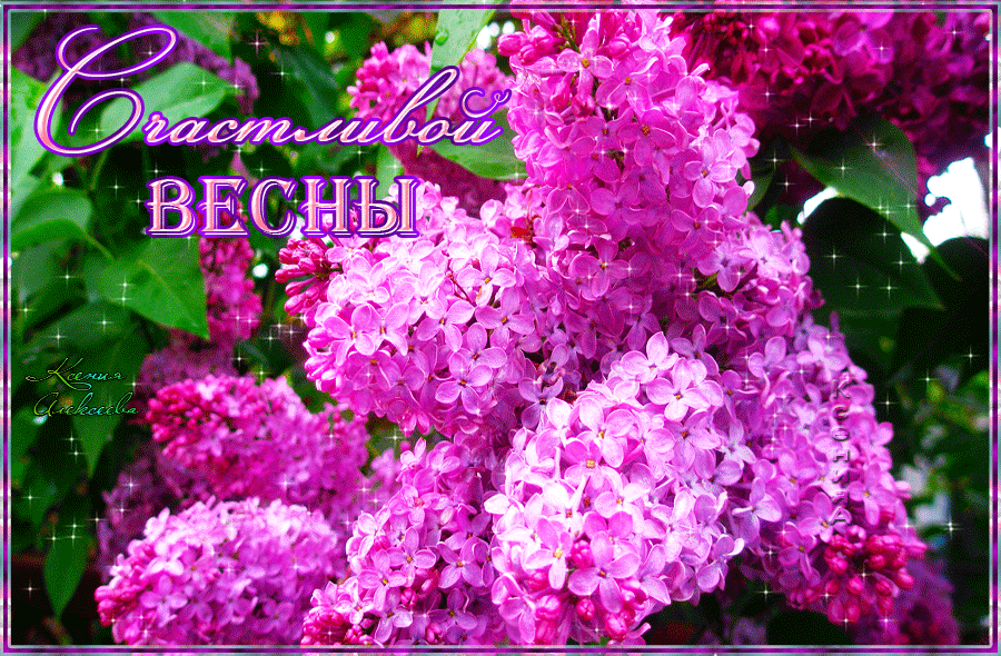 Открытка С сиренью - Весенняя открытка с сиренью: нежные цветы и блеск | Красивая открытка #145
