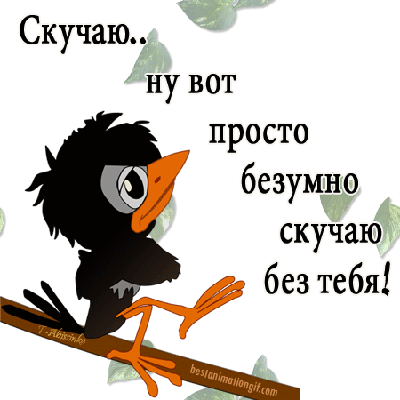 Открытка Скучаю - Открытка с веселым черным вороном на ветке | Красивая открытка #116