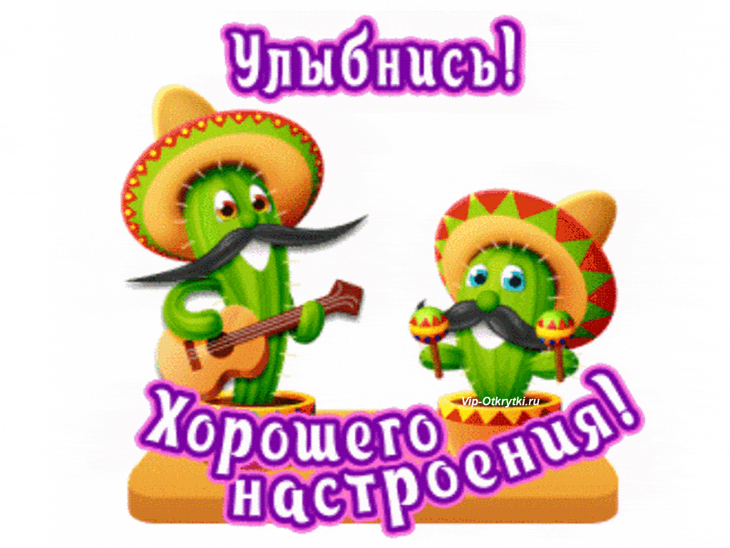 Открытка Улыбнись - Открытка с кактусом в сомбреро и гитаре | Красивая открытка #3