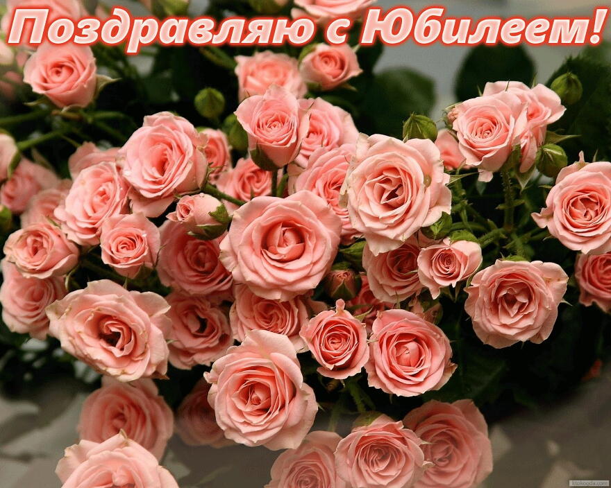 Открытка Открытки с юбилеем - Букет розовых роз: открытка с днем рождения | Красивая открытка #64