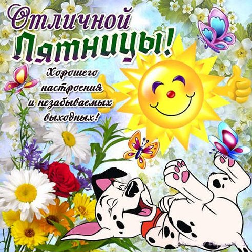 Открытка открытки с пожеланиями хорошей пятницы  - Открытка с щенками и цветами | Красивая открытка #11