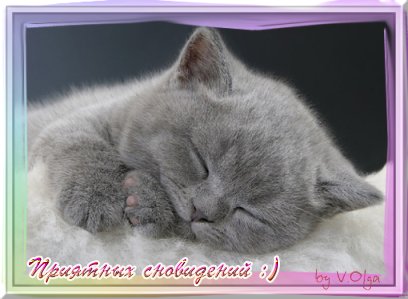 Открытка открытки с пожеланиями спокойной ночи  - Открытка с спящим котенком: милые поздравления | Красивая открытка #21