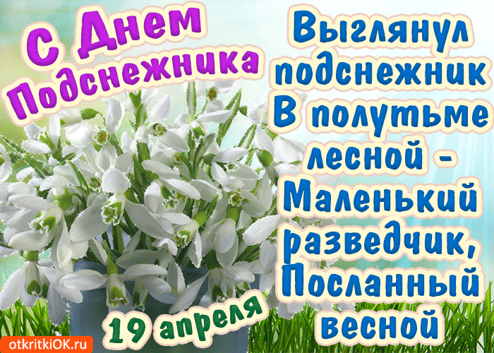 Открытка С днём подснежника - Открытка с весенними цветами: подснежники и зелень | Красивая открытка #42