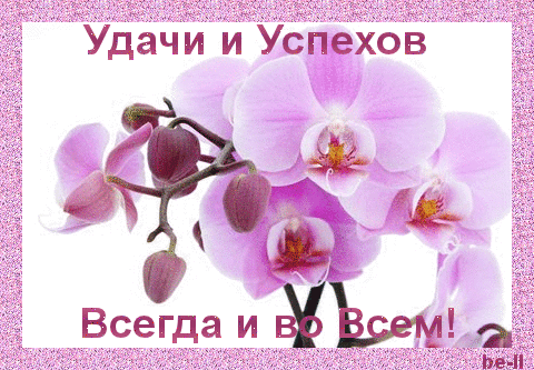 Открытка Удачи - Фиолетовые орхидеи: нежная открытка с цветами | Красивая открытка #255
