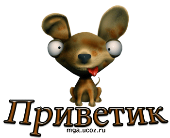 Открытка Открытки с приветствиями  - Открытка с милым щенком | Красивая открытка #38