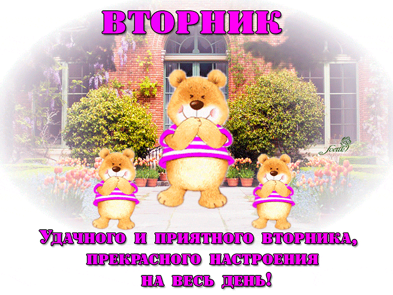 Открытка С вторником - Открытка с мишками: яркое настроение на день! | Красивая открытка #37