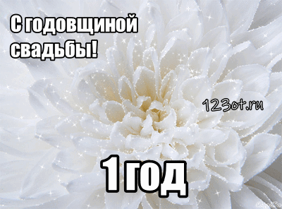 Открытка 1 год - ситцевая свадьба - Белый цветок с инеем: открытка с днем свадьбы | Красивая открытка #19