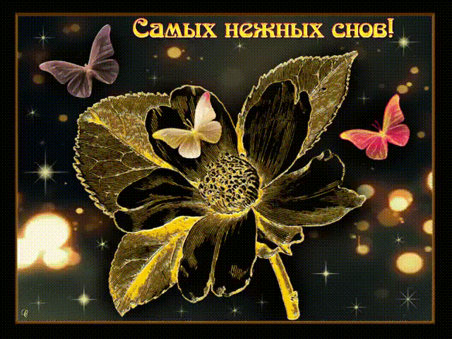 Открытка Открытки с пожеланиями на ночь - Золотой цветок и бабочки - поздравительная открытка | Красивая открытка #144