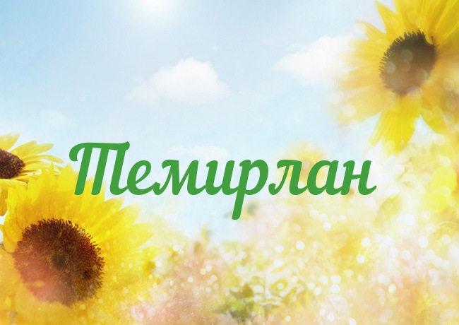 Открытка Открытки с именем Темирлан - Открытка с подсолнухами на фоне голубого неба | Красивая открытка #6