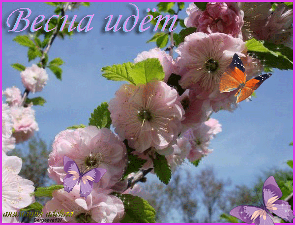 Открытка Открытки весенняя пора - Цветущая вишня: нежная весенняя открытка | Красивая открытка #7
