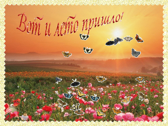 Открытка открытки с первым днем лета  - Поле маков на закате с бабочками. Открытка | Красивая открытка #97
