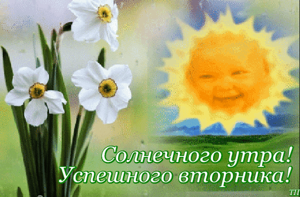 Открытка Открытки на вторник - Открытка с нарциссами и солнцем. Поздравление с праздником. | Красивая открытка #31