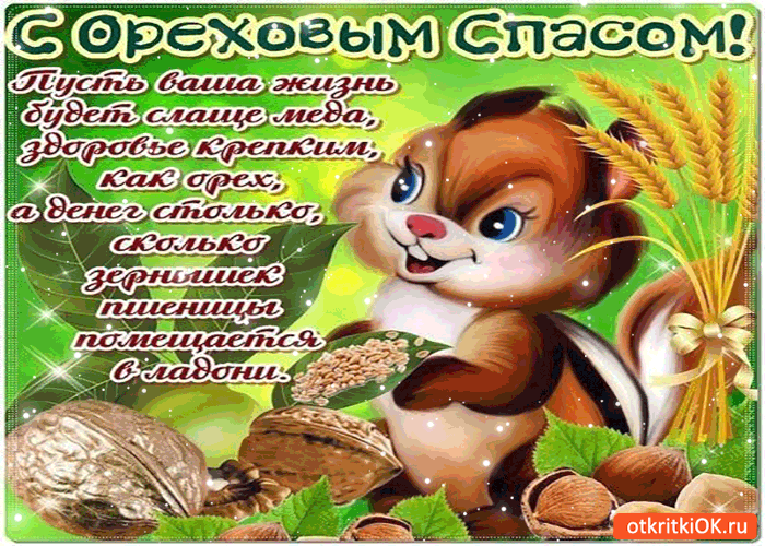 Открытка Открытки с Ореховым Спасом - Открытка с котенком и орехами  Праздничная открытка | Красивая открытка #65