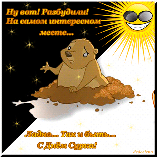 Открытка Открытки с днем сурка - С Днём сурка! Открытка с сурком | Красивая открытка #13