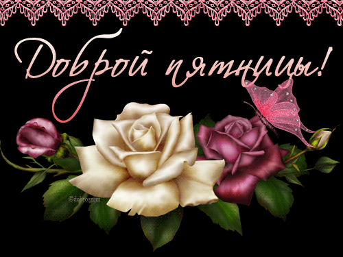 Открытка Открытки на пятницу - Открытка с розами и бабочкой | Красивая открытка #103