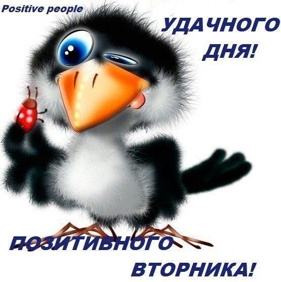 Открытка Открытки на вторник - Открытка с милым птенцом и надписью «С Днем!» | Красивая открытка #19