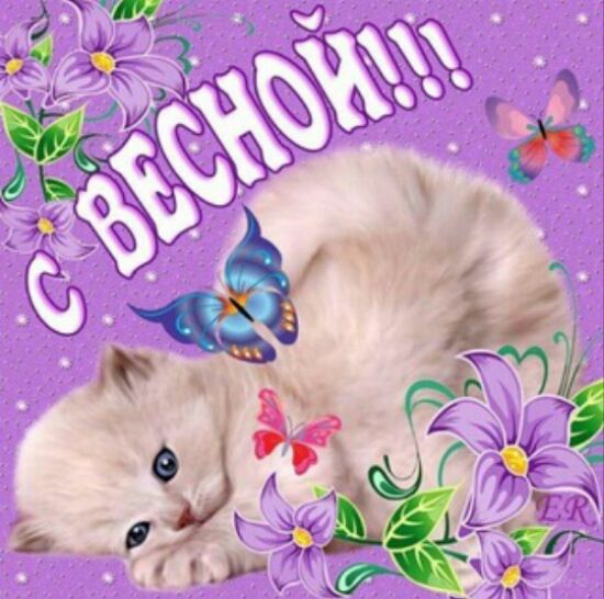 Открытка открытки с первым весенним днем - Открытка с котенком и фиолетовыми цветами | Красивая открытка #20