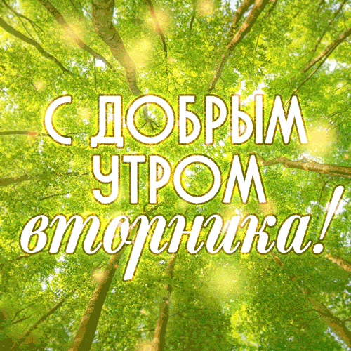 Открытка Доброе утро вторник - Открытка "С добрым утром!" на фоне зелени | Красивая открытка #9