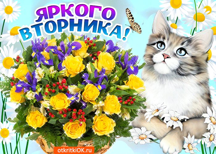 Открытка Вторник - Открытка с котенком и цветами: ромашки, розы | Красивая открытка #6