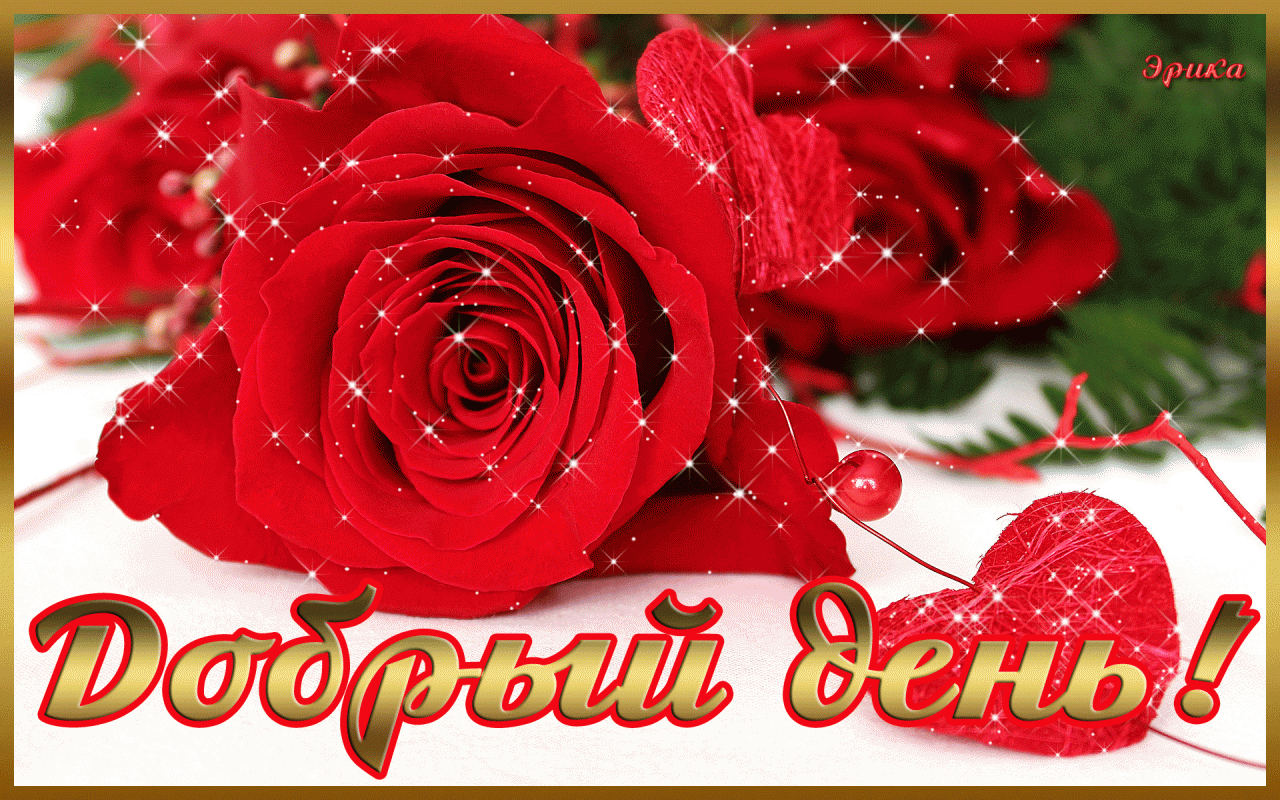 Открытка добрый день! - Поздравления с Днём | Красивая открытка #14