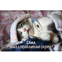 Открытка Открытки с именем Саид - Кот с градусником: Открытка с милым котиком | Красивая открытка #18