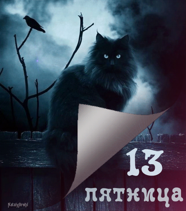 Открытка Открытки на пятницу 13 - Черный кот на фоне ночи: открытка с 13 и надписью | Красивая открытка #136