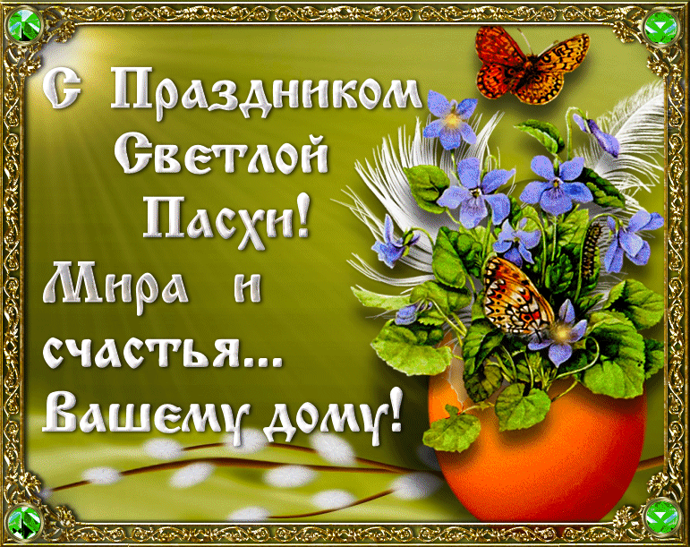Открытка открытки на пасху  - открытка с цветами и бабочкой | Красивая открытка #15