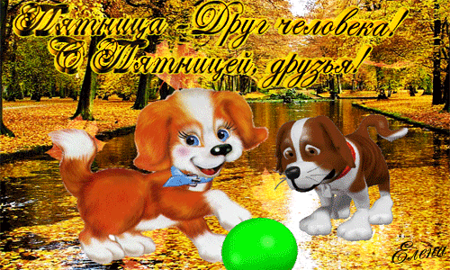 Открытка Открытки на пятницу - Два щенка играют с мячом на фоне осеннего леса | Красивая открытка #97