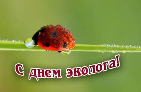 Открытка Открытки с днем эколога - Яркая божья коровка на травинке. Открытка | Красивая открытка #6