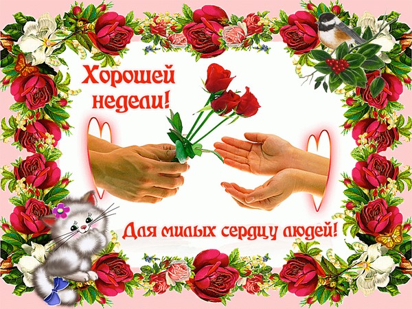 Открытка Хорошей недели - Открытка с цветами и котиком | Красивая открытка #18