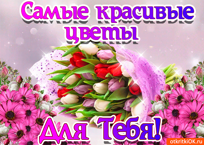 Открытка Открытки с цветами - Открытка с розовыми цветами и белыми бутонами | Красивая открытка #75