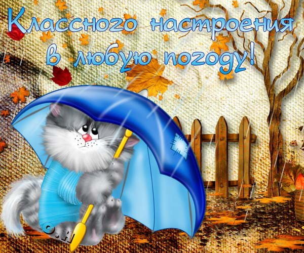 Открытка Картинки про погоду - Котенок с зонтом на фоне осеннего леса | Красивая открытка #19