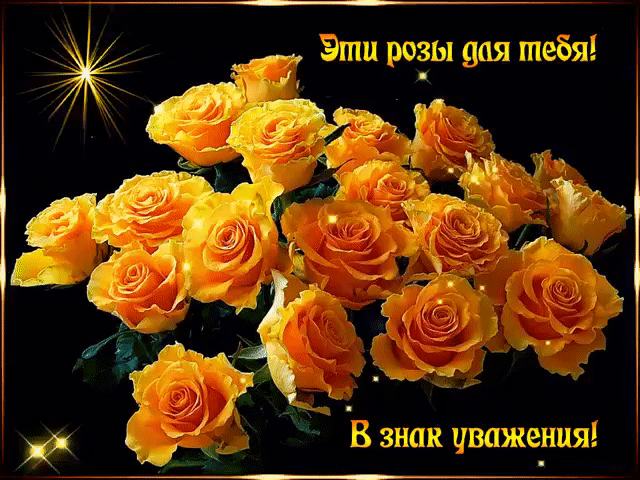 Открытка С желтыми розами - Открытка с оранжевыми розами | Красивая открытка #100
