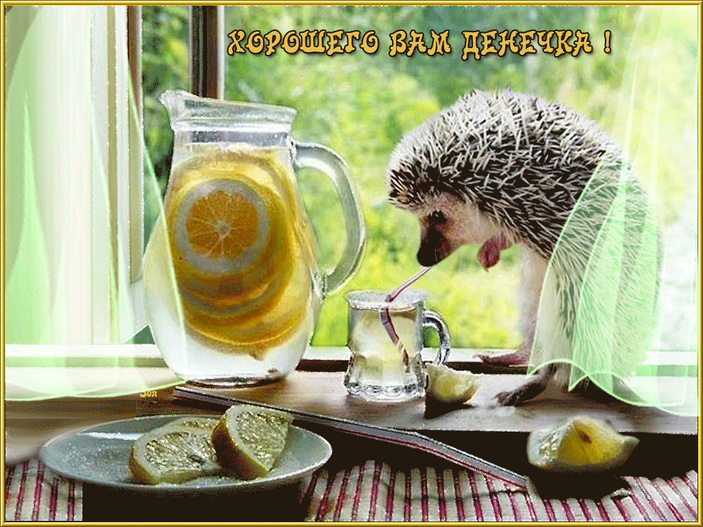 Открытка Хорошего дня - Ежик и лимонад: Милая открытка с летним настроением | Красивая открытка #179