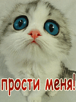 Открытка открытки с извинениями  - Сроси! Удивлённый котёнок — смешная открытка | Красивая открытка #70