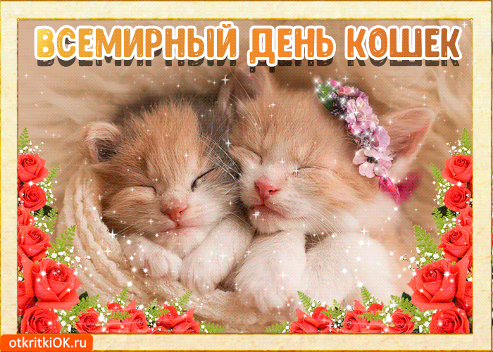 Открытка С Всемирным днём кошек - Две кошки спят в обнимку. Красные розы, фиолетовые цветы. | Красивая открытка #17