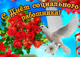 Открытка С днём социального работника - Праздничная открытка: голубь, розы, цветы | Красивая открытка #21