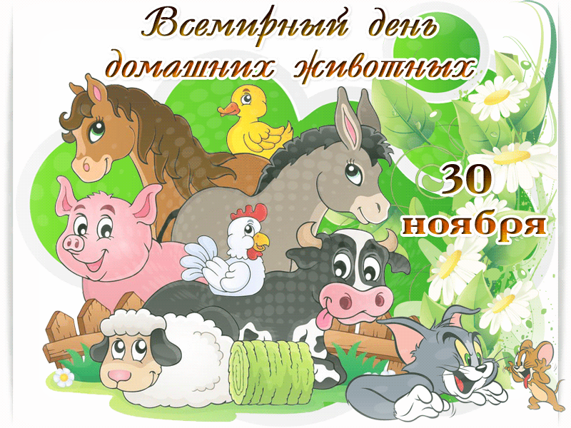 Открытка Открытки на Всемирный день домашних животных - Открытка с животными: лошадь, свинья, курица, осел, собака, овца, утка, корова | Красивая открытка #1
