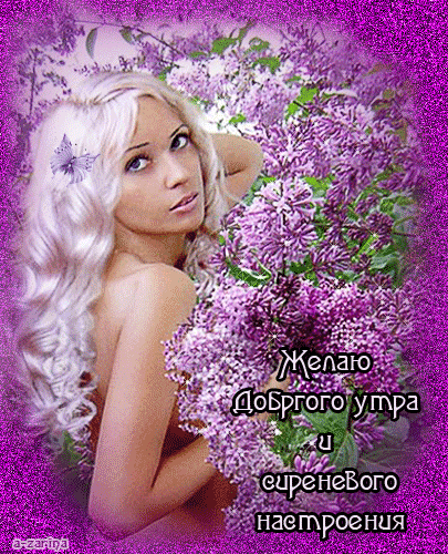 Открытка Открытки хорошего настроения - Красивая девушка на фоне фиалок  открытка с добрым утром | Красивая открытка #174