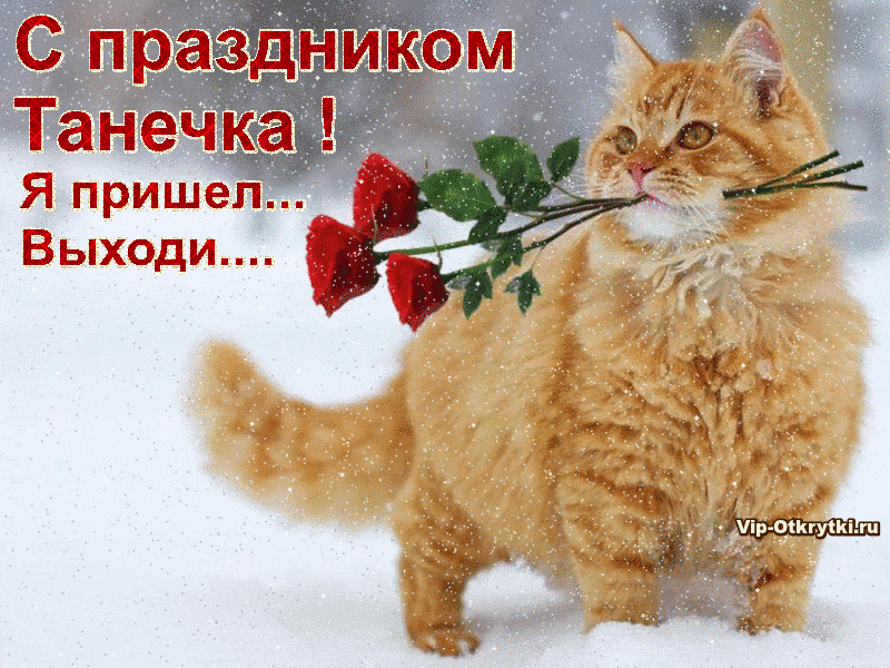 Открытка Татьянин день - Котенок с цветком: Открытка с милым сюрпризом | Красивая открытка #24