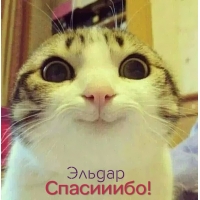 Открытка Открытки с именем Эльдар - Смотрит кот: открытка с поздравлением | Красивая открытка #10