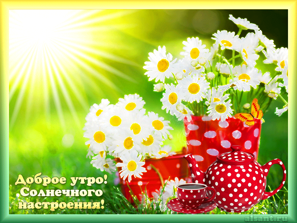 Открытка Доброе утро - Открытка с ромашками и чашкой: доброе утро! | Красивая открытка #97