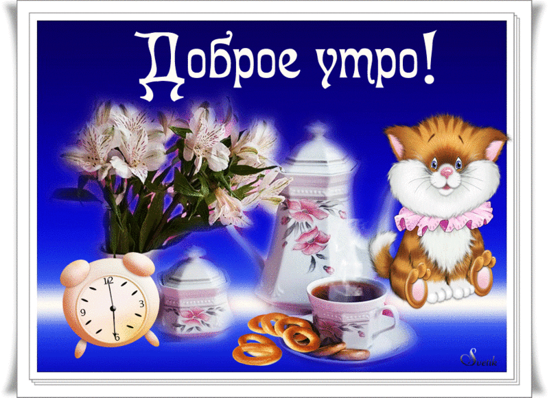 Открытка открытки с добрым утром - Открытка с котиком, чаем и цветами | Красивая открытка #142