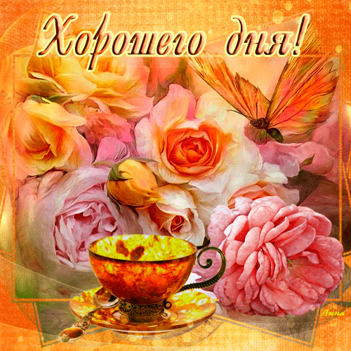 Открытка Открытки хорошего дня - Открытка с розами и чаем | Красивая открытка #110